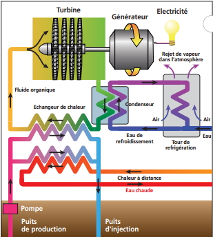 schéma, géothermie, fonctionnement, centrale à fluide binaire avec cogénération