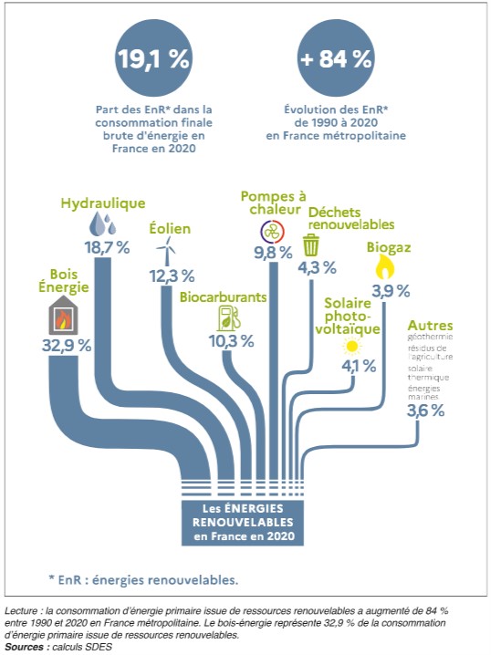 graphique, chiffres, consommation, énergie primaire, énergies renouvelables, 2020