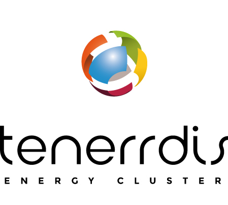 logo tenerrdis